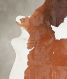 Brown and White Cowhide Rug #A23056