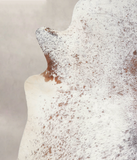 Salt and Pepper Brown Cowhide Rug #A23060
