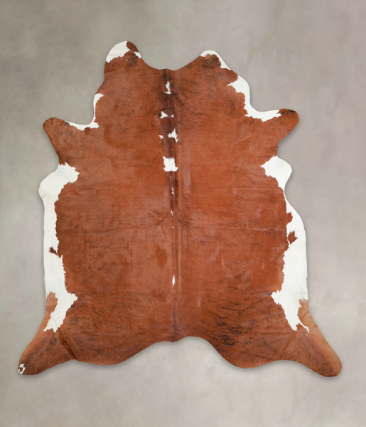 Brown and White Regular Cowhide Rug #A23171
