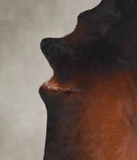 Brown with Red Cowhide Rug #A23190