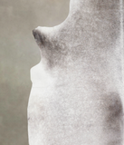 Medium Grey Cowhide Rug #A23198