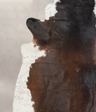 Chocolate and White Cowhide Rug #A23237