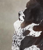 Chocolate and White Cowhide Rug #A23239