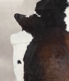 Chocolate and White Cowhide Rug #A23269