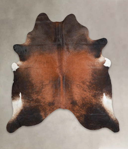 Brown with Red Cowhide Rug #A23327