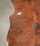 Medium Brindle Cowhide Rug #A23347