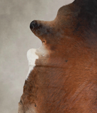 Brown with Red Cowhide Rug #A23381