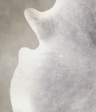 Medium Grey Cowhide Rug #A23496