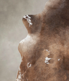 Chocolate and White Cowhide Rug #A23508
