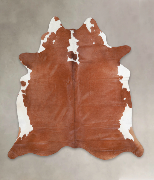 Brown and White Regular Cowhide Rug #A23520