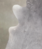 Medium Grey Cowhide Rug #A23599