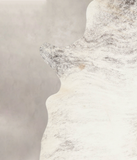 Grey Brindle Cowhide Rug #A23695