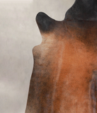 Brown with Red Cowhide Rug #A23728