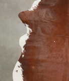 Brown and White Regular Cowhide Rug #A23735