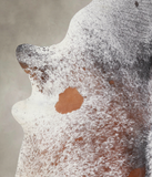 Salt and Pepper Brown Cowhide Rug #A23835