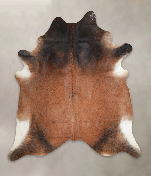 Brown with Red Cowhide Rug #A23848