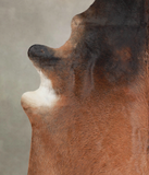 Brown with Red Cowhide Rug #A23848