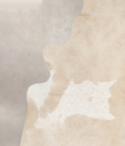 Palomino Cowhide Rug #A23877