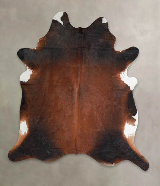 Brown with Red Cowhide Rug #A23938