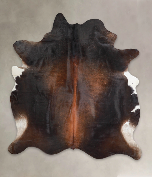 Brown with Red Cowhide Rug #A23978