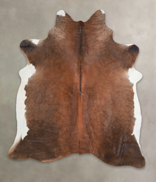 Brown with Red Cowhide Rug #A24115