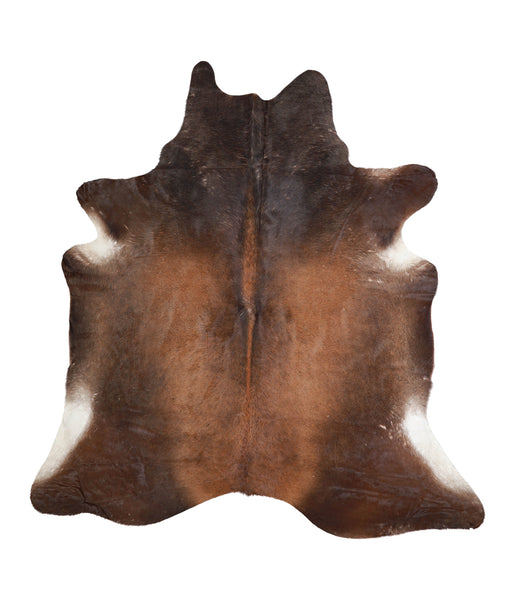 Warm Caramel Cowhide Rug #A24118HUDSN