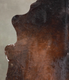 Chocolate Cowhide Rug #A24154