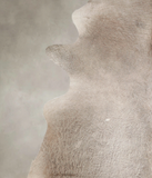 Taupe Cowhide Rug #A24174