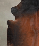 Brown with Red Cowhide Rug #A24191