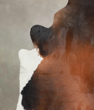 Brown with Red Cowhide Rug #A24212