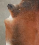 Brown with Red Cowhide Rug #A24234