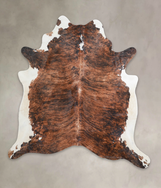 Tricolor Cowhide Rug #A24288