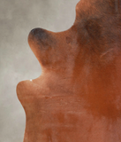 Brown with Red Cowhide Rug #A24414