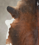 Brown with Red Cowhide Rug #A24422