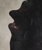 Solid Black Cowhide Rug #A24435