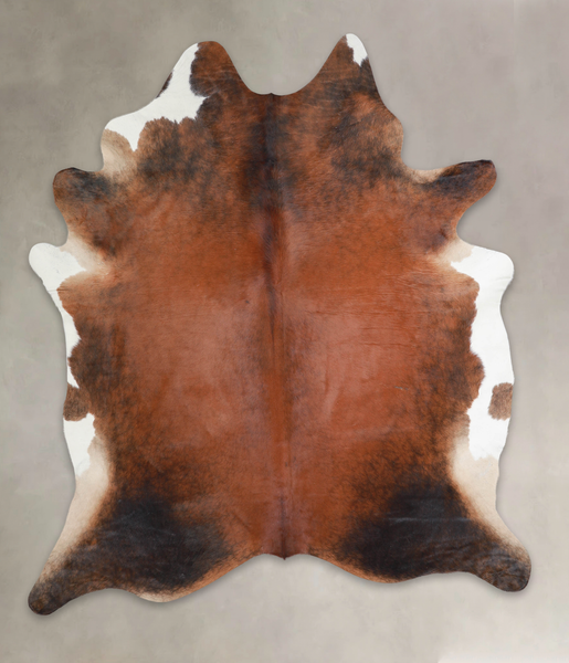 Brown with Red Cowhide Rug #A24457