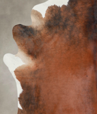 Brown with Red Cowhide Rug #A24457
