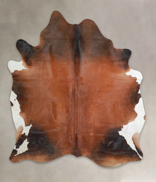 Brown with Red Cowhide Rug #A24513