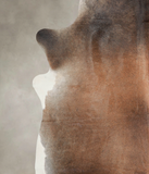 Brown with Red Cowhide Rug #A24531