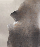 Dark Grey Cowhide Rug #A24635