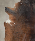 Chocolate Cowhide Rug #A24651