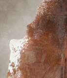 Salt and Pepper Brown Cowhide Rug #A24656