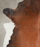 Brown with Red Cowhide Rug #A24687