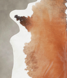 Brown and White Regular Cowhide Rug #A24704