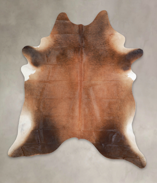 Brown with Red Cowhide Rug #A24722
