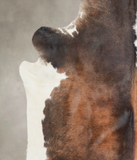 Chocolate and White Cowhide Rug #A24741