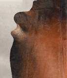 Brown with Red Cowhide Rug #A24773