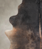 Chocolate Cowhide Rug #A24775