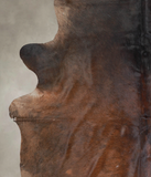 Chocolate Cowhide Rug #A24788