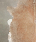 Caramel Cowhide Rug #A24827
